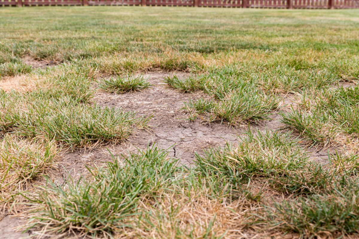 Drought Foundation Damage In Texas