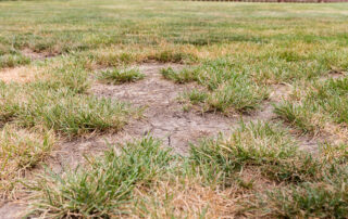 Drought Foundation Damage In Texas