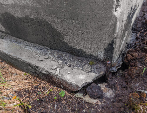 Is Watering a Foundation a Myth? What Every Texas Homeowner Should Know